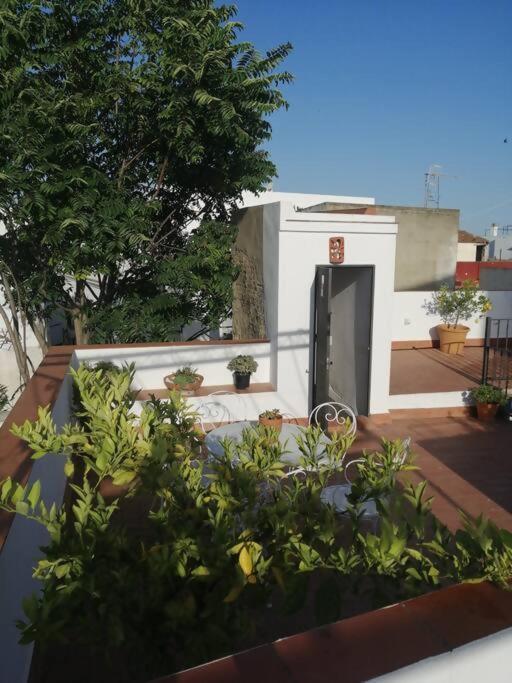 Apartamento El Sosiego Sanlúcar de Barrameda Zewnętrze zdjęcie